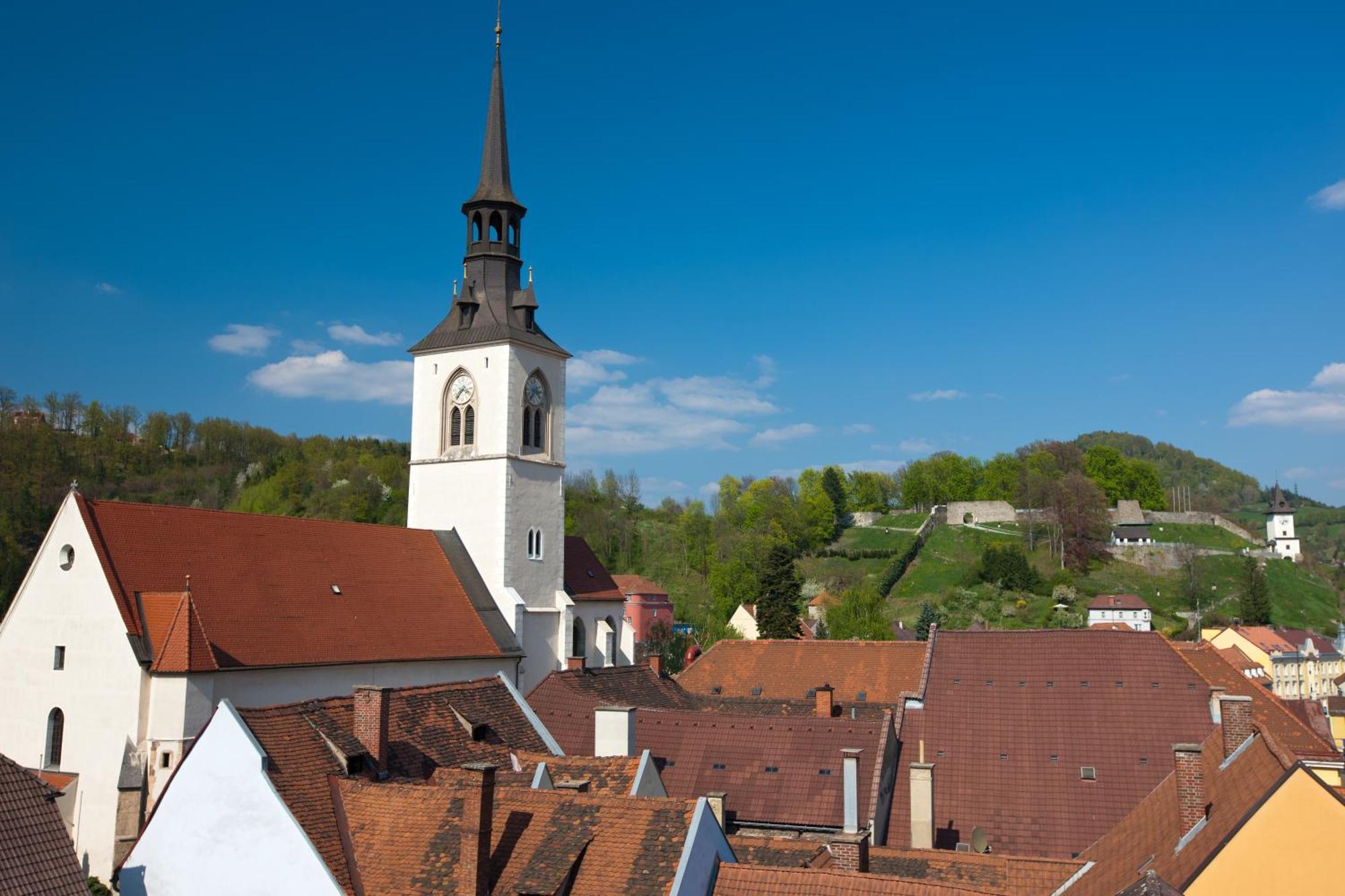 Hotel Landskron Bruck an der Mur Bagian luar foto